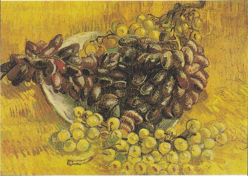 Vincent Van Gogh Still Life with Grapes oil painting picture